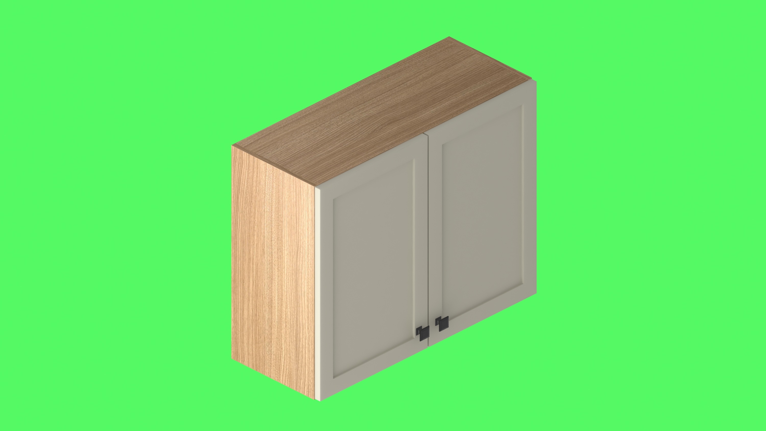 Door with Exposed Handle