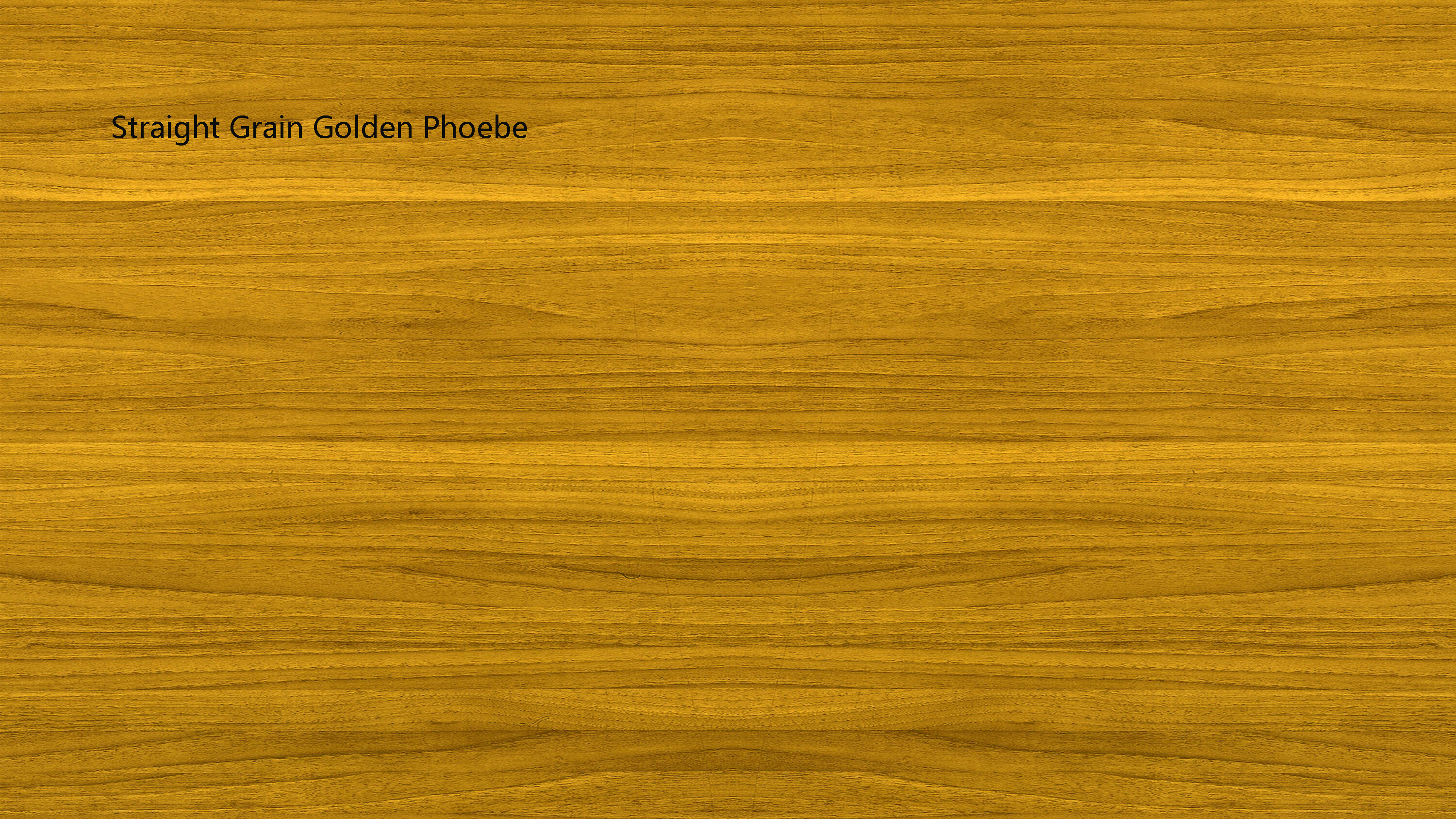 Door Panel Transfer Color